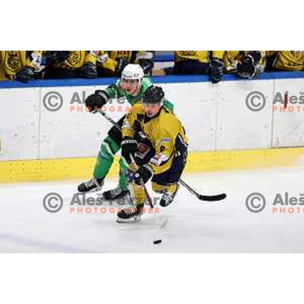 In action during Slovenian Championships ice-hockey match between SZ Olimpija and Celje RST Pellet in Ljubljana, Slovenia on January 16, 2024