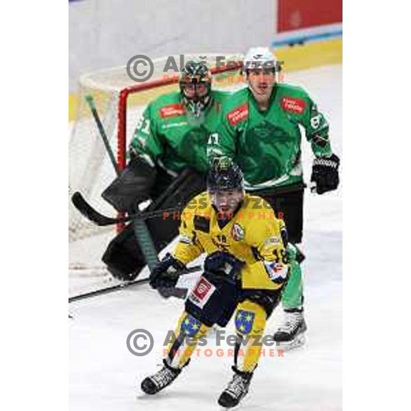 In action during Slovenian Championships ice-hockey match between SZ Olimpija and Celje RST Pellet in Ljubljana, Slovenia on January 16, 2024