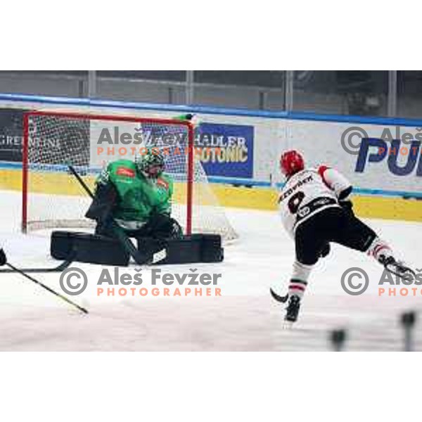 Lukas Horak and Zan Jezovsek in action during the Slovenian Championships 2023/2024 ice-hockey match between SZ Olimpija and SIJ Acroni Jesenice in Ljubljana, Slovenia on January 30, 2024