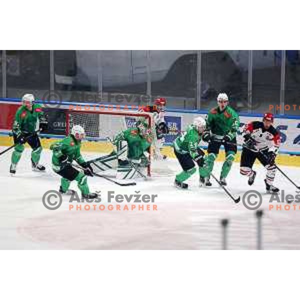 in action during the Slovenian Championships 2023/2024 ice-hockey match between SZ Olimpija and SIJ Acroni Jesenice in Ljubljana, Slovenia on January 30, 2024