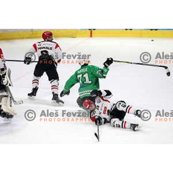 Ziga Mehle in action during the Slovenian Championships 2023/2024 ice-hockey match between SZ Olimpija and SIJ Acroni Jesenice in Ljubljana, Slovenia on January 30, 2024