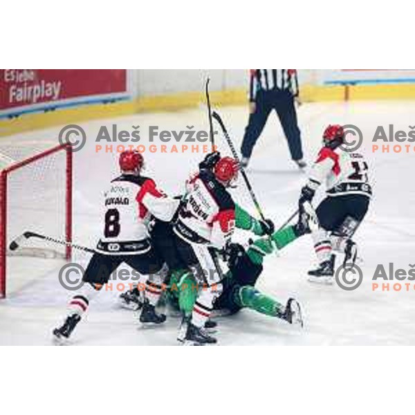 in action during the Slovenian Championships 2023/2024 ice-hockey match between SZ Olimpija and SIJ Acroni Jesenice in Ljubljana, Slovenia on January 30, 2024