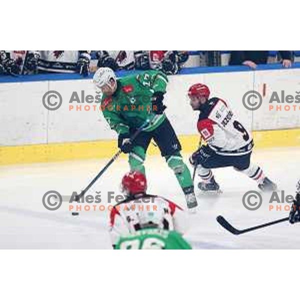 Ziga Pavlin and Zan Jezovsek during the Slovenian Championships 2023/2024 ice-hockey match between SZ Olimpija and SIJ Acroni Jesenice in Ljubljana, Slovenia on January 30, 2024 