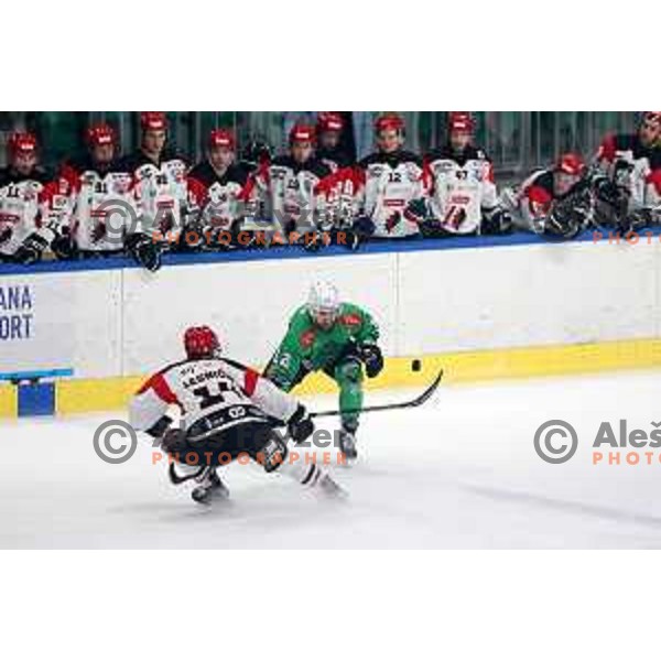 Tjas Lesnicar and Nik Simsic in action during the Slovenian Championships 2023/2024 ice-hockey match between SZ Olimpija and SIJ Acroni Jesenice in Ljubljana, Slovenia on January 30, 2024