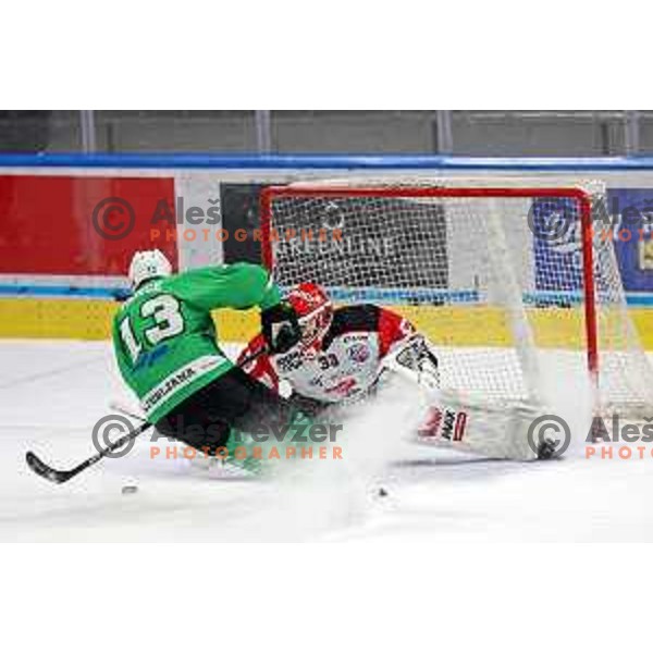 Ziga Pance and Zan Us in action during the Slovenian Championships 2023/2024 ice-hockey match between SZ Olimpija and SIJ Acroni Jesenice in Ljubljana, Slovenia on January 30, 2024