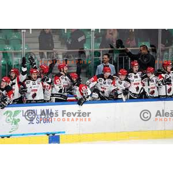 Players of SIJ Acroni Jesenice celebrate victory at the Slovenian Championships 2023/2024 ice-hockey match between SZ Olimpija and SIJ Acroni Jesenice in Ljubljana, Slovenia on January 30, 2024