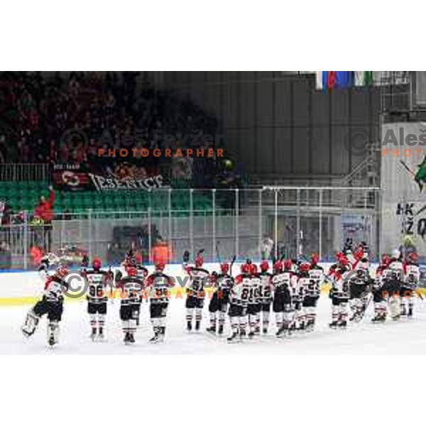 Players of SIJ Acroni Jesenice celebrate victory at the Slovenian Championships 2023/2024 ice-hockey match between SZ Olimpija and SIJ Acroni Jesenice in Ljubljana, Slovenia on January 30, 2024