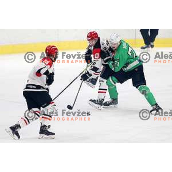 in action during the Slovenian Championships 2023/2024 ice-hockey match between SZ Olimpija and SIJ Acroni Jesenice in Ljubljana, Slovenia on January 30, 2024