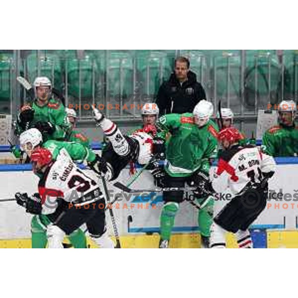 Miha Bericic in action during the Slovenian Championships 2023/2024 ice-hockey match between SZ Olimpija and SIJ Acroni Jesenice in Ljubljana, Slovenia on January 30, 2024