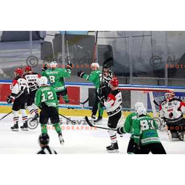 in action during the Slovenian Championships 2023/2024 ice-hockey match between SZ Olimpija and SIJ Acroni Jesenice in Ljubljana, Slovenia on January 30, 2024