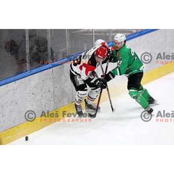 in action during the Slovenian Championships 2023/2024 ice-hockey match between SZ Olimpija and SIJ Acroni Jesenice in Ljubljana, Slovenia on January 30, 2024