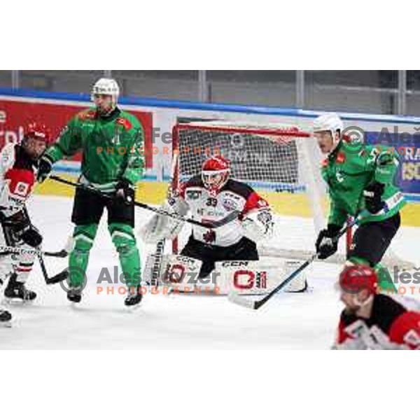 in action during the Slovenian Championships 2023/2024 ice-hockey match between SZ Olimpija and SIJ Acroni Jesenice in Ljubljana, Slovenia on January 30, 2024