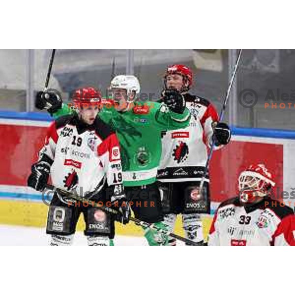 in action during the Slovenian Championships 2023/2024 ice-hockey match between SZ Olimpija and SIJ Acroni Jesenice in Ljubljana, Slovenia on January 30, 2024