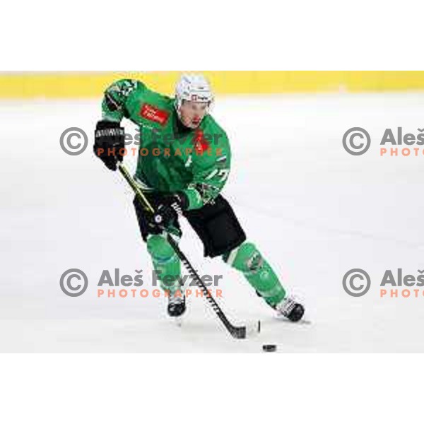 Trevor Gooch in action during the Slovenian Championships 2023/2024 ice-hockey match between SZ Olimpija and SIJ Acroni Jesenice in Ljubljana, Slovenia on January 30, 2024