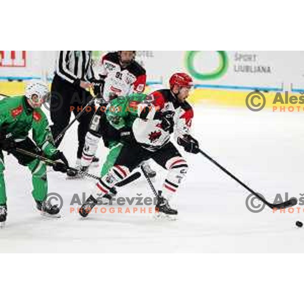 Zan Jezovsek in action during the Slovenian Championships 2023/2024 ice-hockey match between SZ Olimpija and SIJ Acroni Jesenice in Ljubljana, Slovenia on January 30, 2024