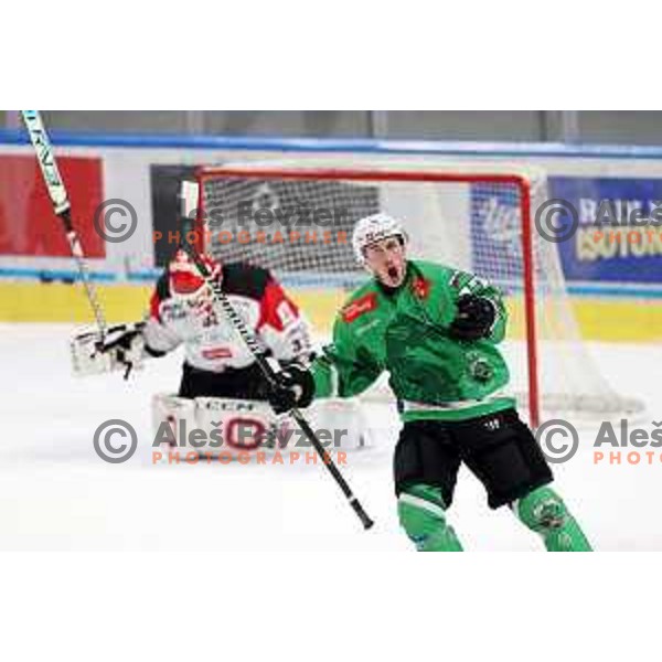 Trevor Gooch celebrates a goal during the Slovenian Championships 2023/2024 ice-hockey match between SZ Olimpija and SIJ Acroni Jesenice in Ljubljana, Slovenia on January 30, 2024