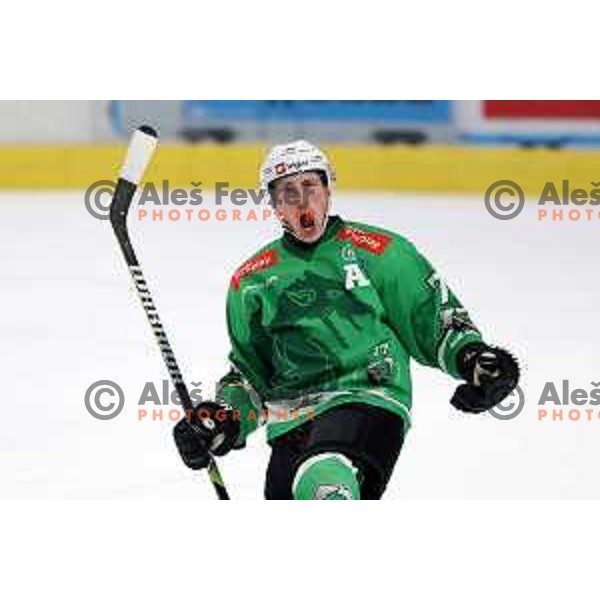 Trevor Gooch celebrates a goal during the Slovenian Championships 2023/2024 ice-hockey match between SZ Olimpija and SIJ Acroni Jesenice in Ljubljana, Slovenia on January 30, 2024