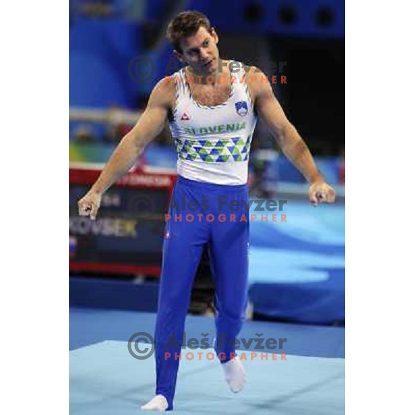 Mitja Petkovsek (SLO) took fifth place in the final of Appartaus at Olympic games in Beijing, China 19.8.2008 Photo by Ales Fevzer 