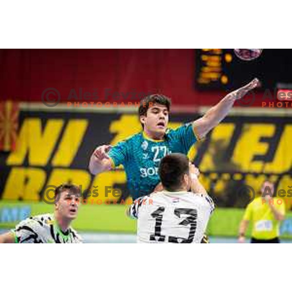 Peter Sisko during EHF European league match between Gorenje Velenje and Nexe Nasice in Velenje, Slovenia on February 20, 2024