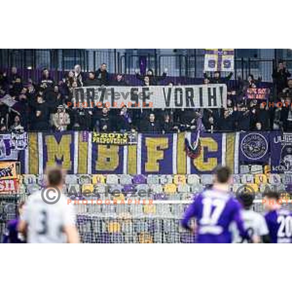 Maribor supporters Viole during Slovenian cup 2023/2024 football match between Maribor and Radomlje in Ljudski vrt, Maribor, Slovenia on March 6, 2024. Photo: Jure Banfi
