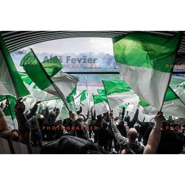 Olimpija supporters Green Dragons during Prva liga Telemach football match between Mura and Olimpija in Fazanerija, Murska Sobota, Slovenia on March 10, 2024. Photo: Jure Banfi