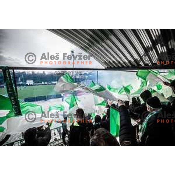 Olimpija supporters Green Dragons during Prva liga Telemach football match between Mura and Olimpija in Fazanerija, Murska Sobota, Slovenia on March 10, 2024. Photo: Jure Banfi