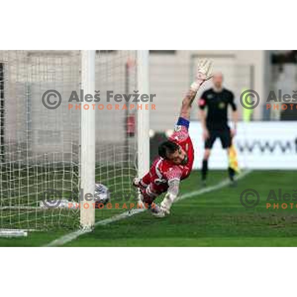 In action during Prva liga Telemach 2023/2024 football match between Koper and Celje in Koper, Slovenia on March 14, 2024