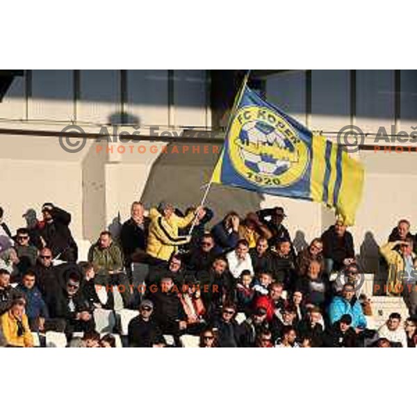 In action during Prva liga Telemach 2023/2024 football match between Koper and Celje in Koper, Slovenia on March 14, 2024