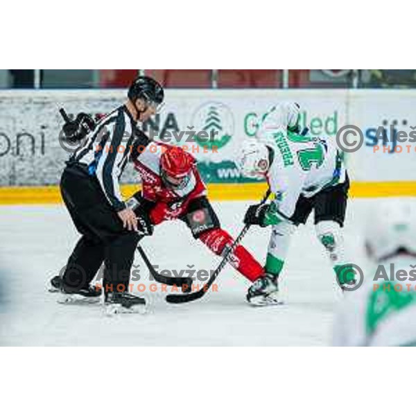 In action during the fourth game of the Final of the Slovenian Ice-hockey League between SZ Olimpija and SIJ Acroni Jesenice in Tivoli Hall, Ljubljana, Slovenia on March 15, 2024