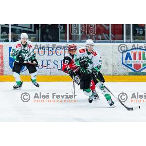 GOOCH Trevor of HK SZ Olimpija In action during the fourth game of the Final of the Slovenian Ice-hockey League between SZ Olimpija and SIJ Acroni Jesenice in Tivoli Hall, Ljubljana, Slovenia on March 15, 2024