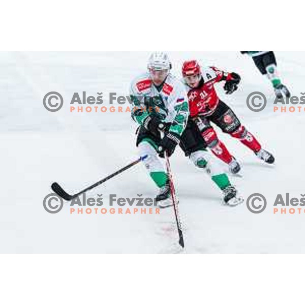 MASIC Bine of HK SZ Olimpija In action during the fourth game of the Final of the Slovenian Ice-hockey League between SZ Olimpija and SIJ Acroni Jesenice in Tivoli Hall, Ljubljana, Slovenia on March 15, 2024