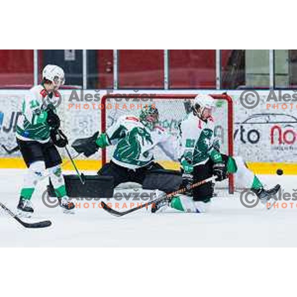 MAHKOVEC Marcel of HK SZ Olimpija In action during the fourth game of the Final of the Slovenian Ice-hockey League between SZ Olimpija and SIJ Acroni Jesenice in Tivoli Hall, Ljubljana, Slovenia on March 15, 2024