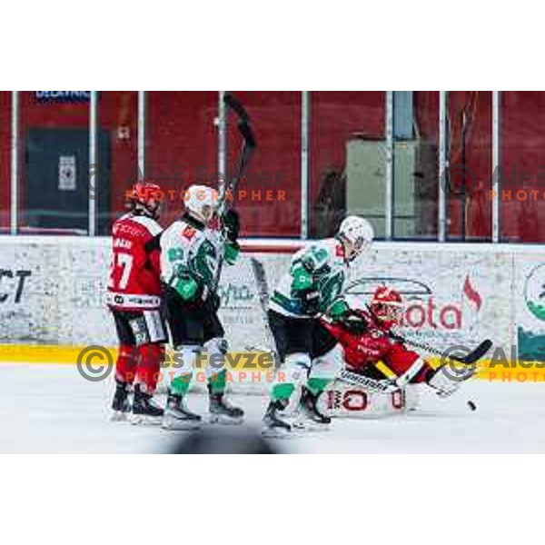 US Zan of HDD SIJ Acroni Jesenice In action during the fourth game of the Final of the Slovenian Ice-hockey League between SZ Olimpija and SIJ Acroni Jesenice in Tivoli Hall, Ljubljana, Slovenia on March 15, 2024