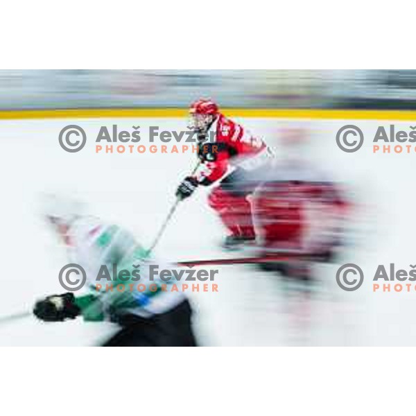 TURSIC SECKAR Maj of HDD SIJ Acroni Jesenice In action during the fourth game of the Final of the Slovenian Ice-hockey League between SZ Olimpija and SIJ Acroni Jesenice in Tivoli Hall, Ljubljana, Slovenia on March 15, 2024