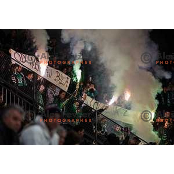 Green Dragonsn In action during the fourth game of the Final of the Slovenian Ice-hockey League between SZ Olimpija and SIJ Acroni Jesenice in Tivoli Hall, Ljubljana, Slovenia on March 15, 2024