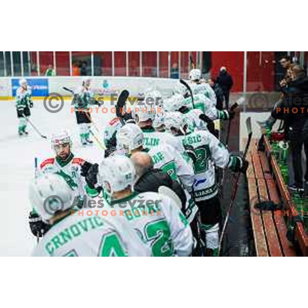 PANCE Ziga of HK SZ Olimpija In action during the fourth game of the Final of the Slovenian Ice-hockey League between SZ Olimpija and SIJ Acroni Jesenice in Tivoli Hall, Ljubljana, Slovenia on March 15, 2024