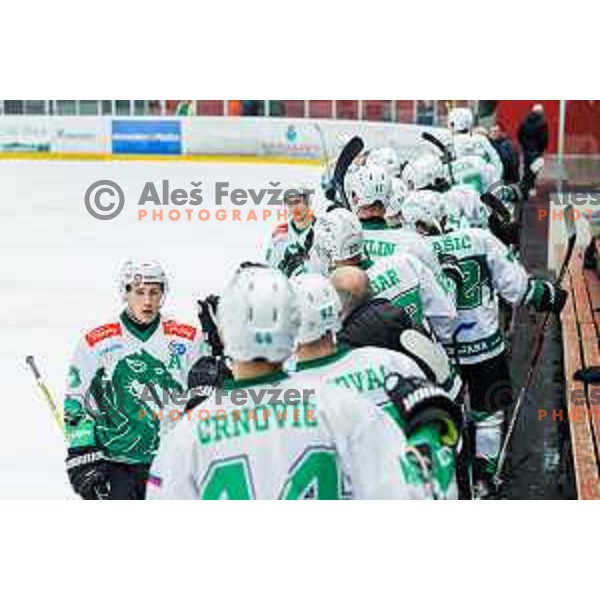 GOOCH Trevor of HK SZ Olimpija In action during the fourth game of the Final of the Slovenian Ice-hockey League between SZ Olimpija and SIJ Acroni Jesenice in Tivoli Hall, Ljubljana, Slovenia on March 15, 2024