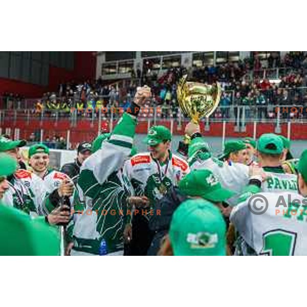 In action during the fourth game of the Final of the Slovenian Ice-hockey League between SZ Olimpija and SIJ Acroni Jesenice in Tivoli Hall, Ljubljana, Slovenia on March 15, 2024