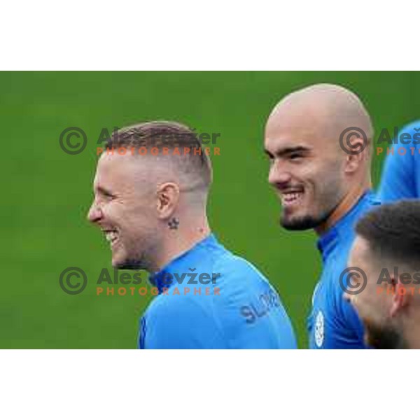 of Slovenia Football team during practice session at NNC Brdo, Slovenia on March 19, 2024