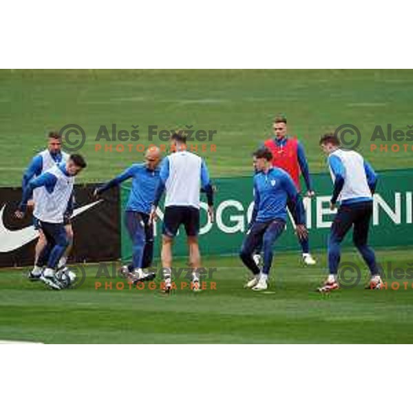 of Slovenia Football team during practice session at NNC Brdo, Slovenia on March 19, 2024