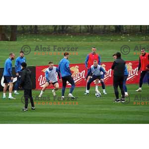 of Slovenia Football team during practice session at NNC Brdo, Slovenia on March 19, 2024
