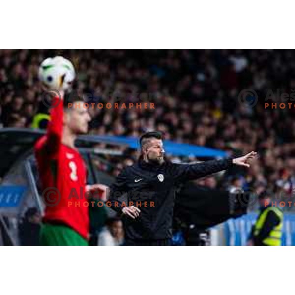 Bostjan Cesar head coach of Slovenia in action during Friendly football match between Slovenia and Portugal in Stadium Stozice, Slovenia on March 26, 2024. Photo: Grega Valancic