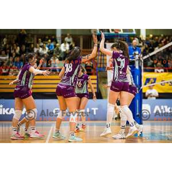 Team Nova KBM Branik in action during the third match the Final of the Slovenian Championship between Calcit Volley and Nova KBM Maribor in Kamnik sport Hall, Kamnik, Slovenia on April 23, 2024. Grega Valancic/ alesfevzer.com