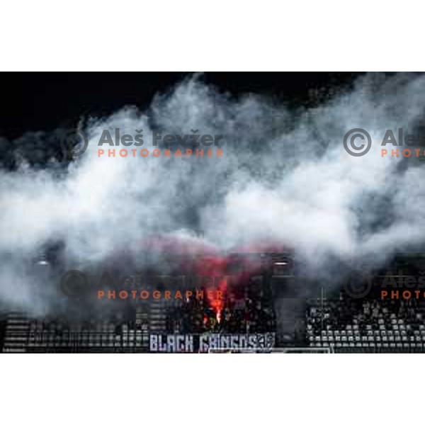 Mura supporters Black Gringos during Slovenian cup 2023/2024 semi final football match between Mura and Rogaska in Fazanerija, Murska Sobota, Slovenia on April 25, 2024. Photo: Jure Banfi