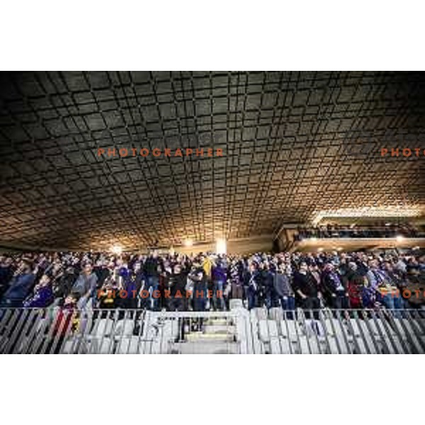Maribor supporters during Prva liga Telemach football match between Maribor and Olimpija in Ljudski vrt, Maribor, Slovenia on May 11, 2024. Photo: Jure Banfi