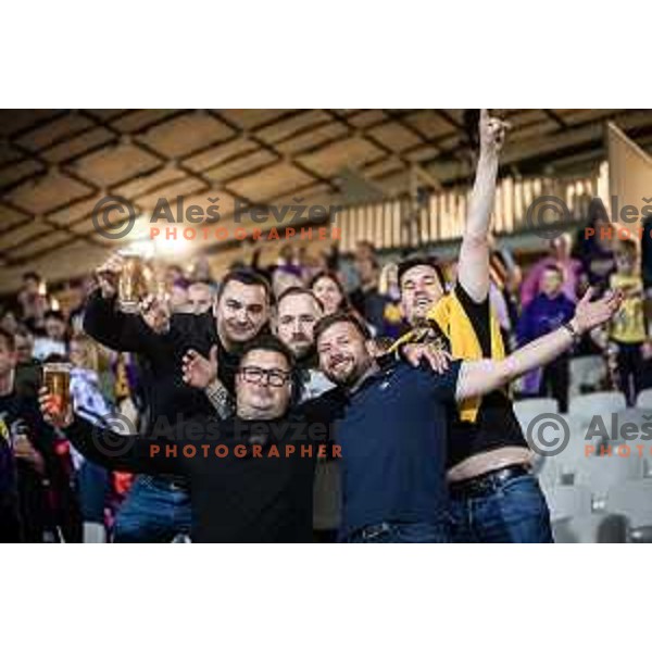 Maribor supporters celebrating after Prva liga Telemach football match between Maribor and Olimpija in Ljudski vrt, Maribor, Slovenia on May 11, 2024. Photo: Jure Banfi