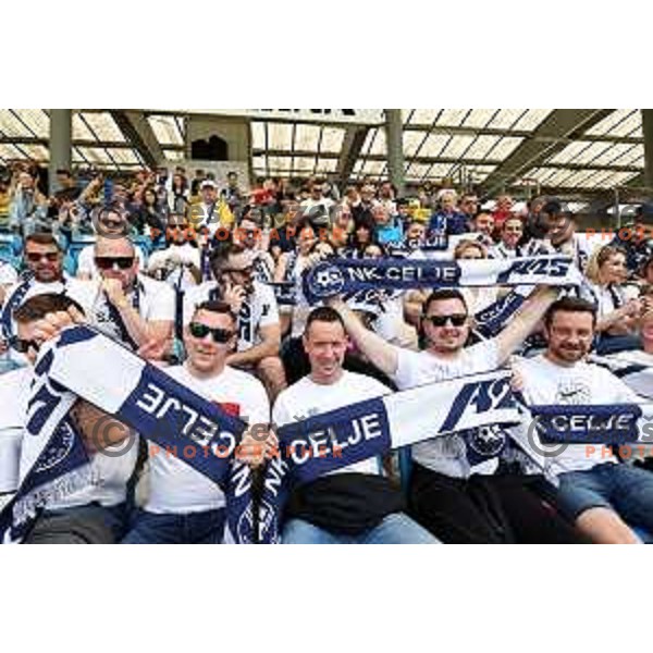 during Prva liga Telemach 2023/2024 football match between Celje and Koper in Celje, Slovenia on May 12, 2024