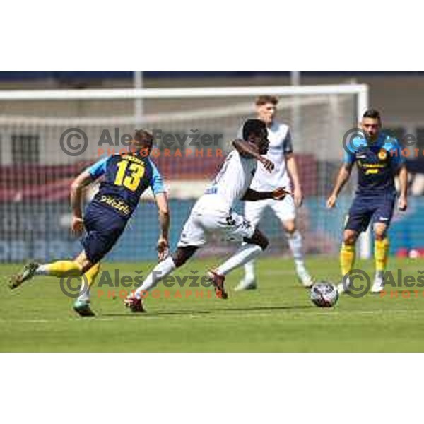 during Prva liga Telemach 2023/2024 football match between Celje and Koper in Celje, Slovenia on May 12, 2024