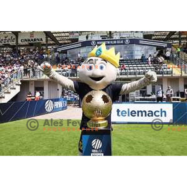 during Prva liga Telemach 2023/2024 football match between Celje and Koper in Celje, Slovenia on May 12, 2024