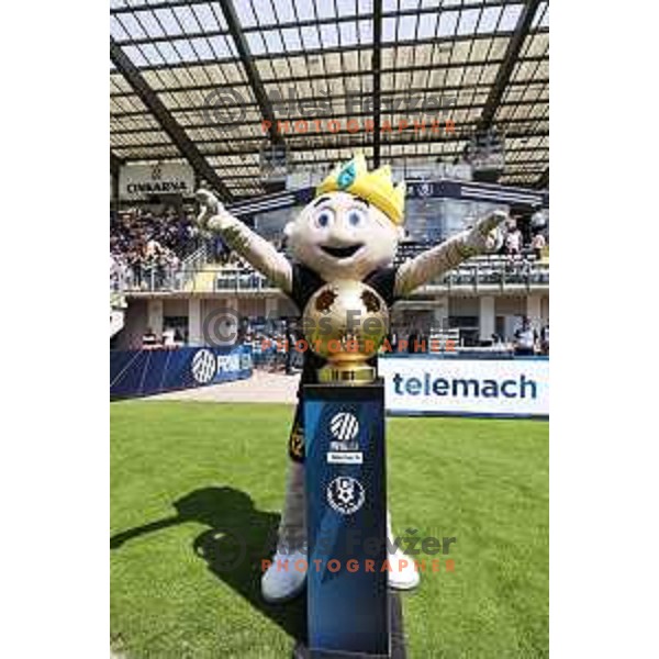 during Prva liga Telemach 2023/2024 football match between Celje and Koper in Celje, Slovenia on May 12, 2024